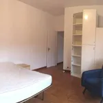 Rent 3 bedroom apartment of 100 m² in Roma