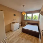 Rent 2 bedroom apartment of 45 m² in Szczecin