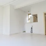 Rent 1 bedroom apartment of 38 m² in Den Haag