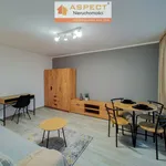 Rent 1 bedroom apartment of 28 m² in Zabrze