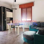 Rent 3 bedroom apartment of 182 m² in Fano