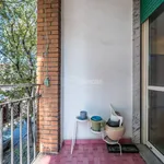 Rent 3 bedroom apartment of 83 m² in Milano