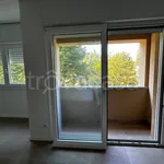 Rent 2 bedroom apartment of 53 m² in Bologna