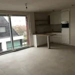 Rent 1 bedroom apartment in Middelkerke