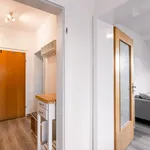 Rent 1 bedroom apartment of 55 m² in Cologne