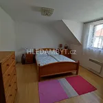 Pronajměte si 1 ložnic/e byt o rozloze 47 m² v Capital City of Prague