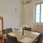 Rent 1 bedroom apartment of 50 m² in florence