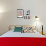 Rent 1 bedroom apartment in florence