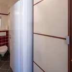 Pronajměte si 6 ložnic/e byt o rozloze 250 m² v Prague