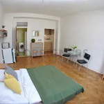 Studio (1+kk) - Apartment for Rent in Brno