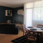 Rent 1 bedroom apartment of 13 m² in ORLEANS