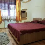 Rent 1 bedroom apartment of 21 m² in Timisoara