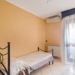 Rent 4 bedroom apartment in Rome