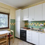 Rent 1 bedroom apartment in Rome