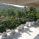 Rent 4 bedroom apartment of 212 m² in Νέα Ζωή