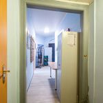 Rent 1 bedroom apartment of 35 m² in Dresden