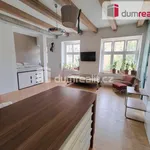 Rent 1 bedroom apartment of 50 m² in Capital City of Prague