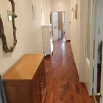 Rent 3 bedroom apartment of 90 m² in Florence