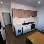 Rent 1 bedroom apartment in Brno