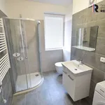 Rent 2 bedroom apartment of 57 m² in Fryšták