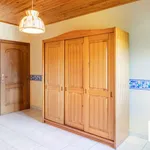 Rent 4 bedroom house in Berlare