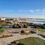 Affitto 1 camera appartamento di 40 m² in Porto Cesareo