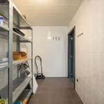 Maison de 864 m² avec 5 chambre(s) en location à Rijkevorsel