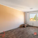 Pronajměte si 3 ložnic/e byt o rozloze 74 m² v Pilsen