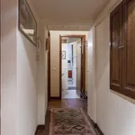 Rent 1 bedroom apartment in Florence