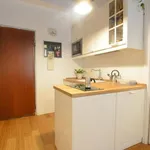 Rent 1 bedroom apartment in Milan