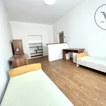 Rent 3 bedroom apartment of 98 m² in České Budějovice