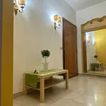 Rent 6 bedroom apartment in Milan