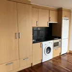 Rent 1 bedroom apartment of 47 m² in Madrid