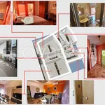 Rent 3 bedroom apartment of 65 m² in Padova