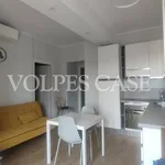 Rent 1 bedroom apartment of 50 m² in milano