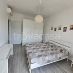 Rent 2 bedroom apartment of 55 m² in Milano