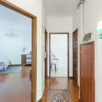 Rent 1 bedroom apartment in Porto