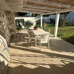 Appartamento in in affitto da privato a Terracina via San Felice Circeo, 7, giardino, da privato, cucina a vista - TrovaCasa