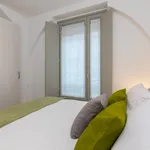 Rent 1 bedroom apartment in Turin