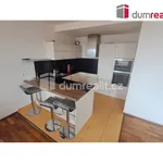 Rent 3 bedroom apartment of 78 m² in Prague