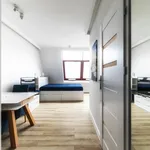 Rent 1 bedroom apartment of 30 m² in Wrocław