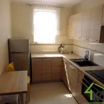 Rent 2 bedroom apartment of 44 m² in Olsztyn