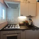 Rent 1 bedroom apartment of 30 m² in Milano