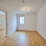 Miete 2 Schlafzimmer wohnung von 50 m² in Vienna