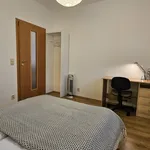 Rent 1 bedroom apartment of 52 m² in Brno