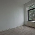 Rent 3 bedroom apartment of 51 m² in Rotterdam