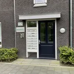 Huur 3 slaapkamer appartement van 81 m² in Aalst