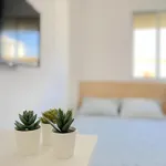 Rent 4 bedroom apartment in Seville