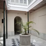 Rent 2 bedroom apartment of 90 m² in Cadiz']