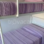 Rent 3 bedroom apartment of 50 m² in Ravenna